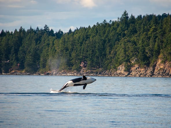 Inside Passage